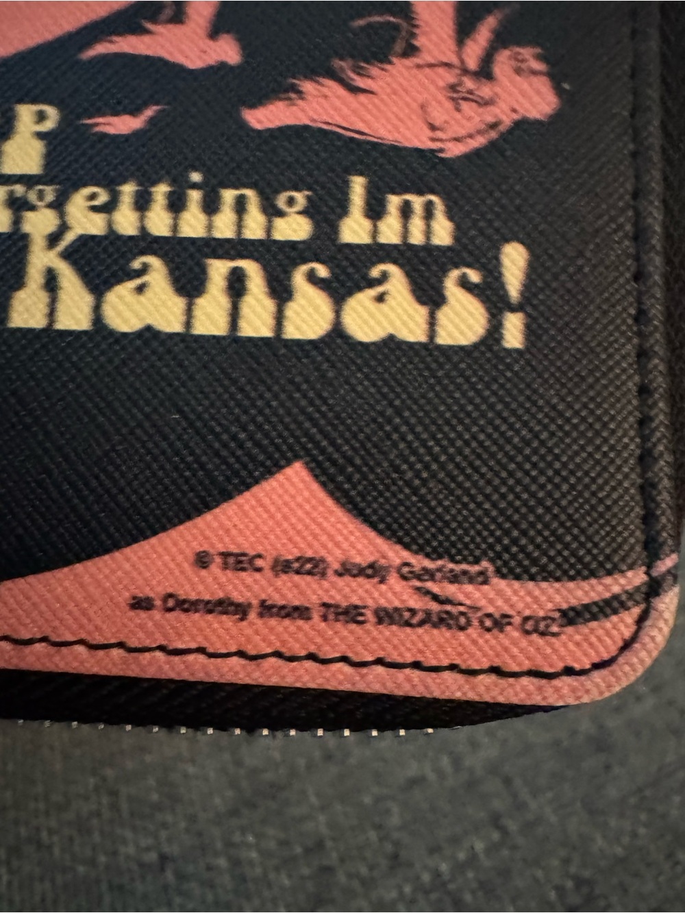 Collectors - Buckle-Down Wizard of Oz Wristlet - Picture 3 of 9